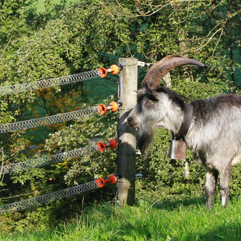 Spring Gate