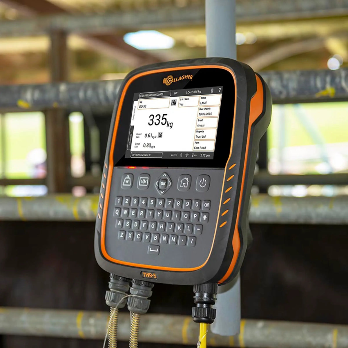 TWR-5 Weigh Scale and Data Collector with integrated EID Reader