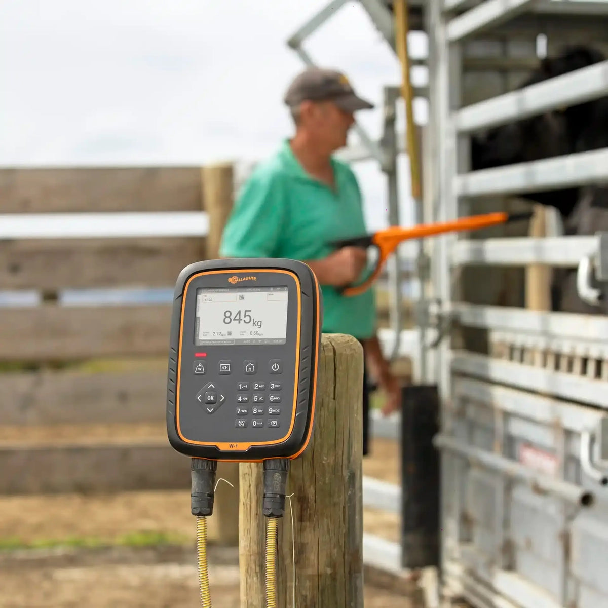 Weigh scale W1
