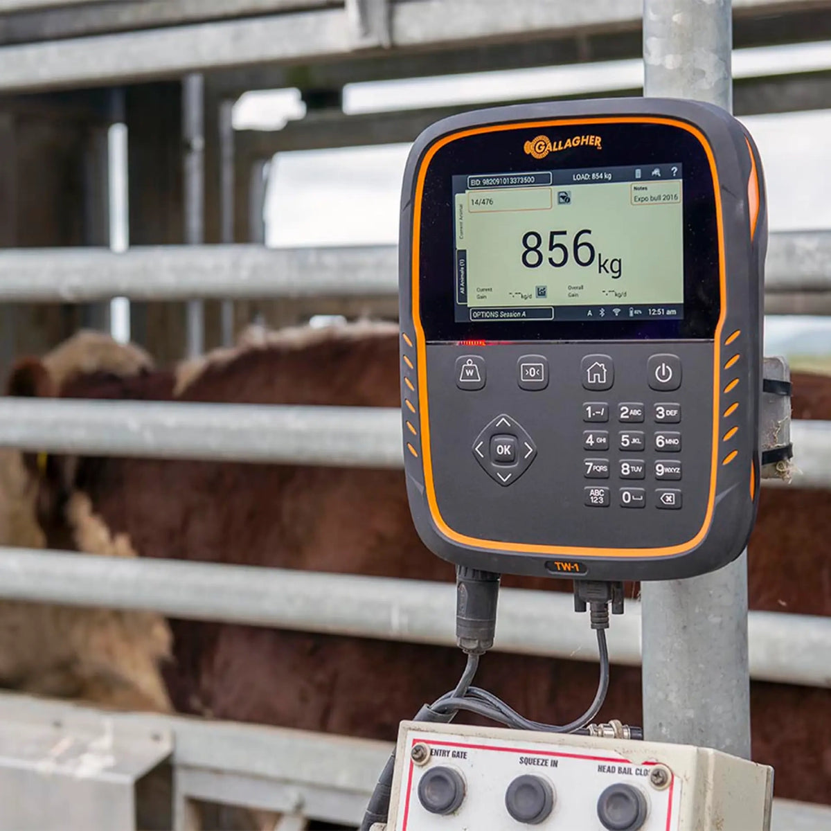 TW-1 Weigh Scale