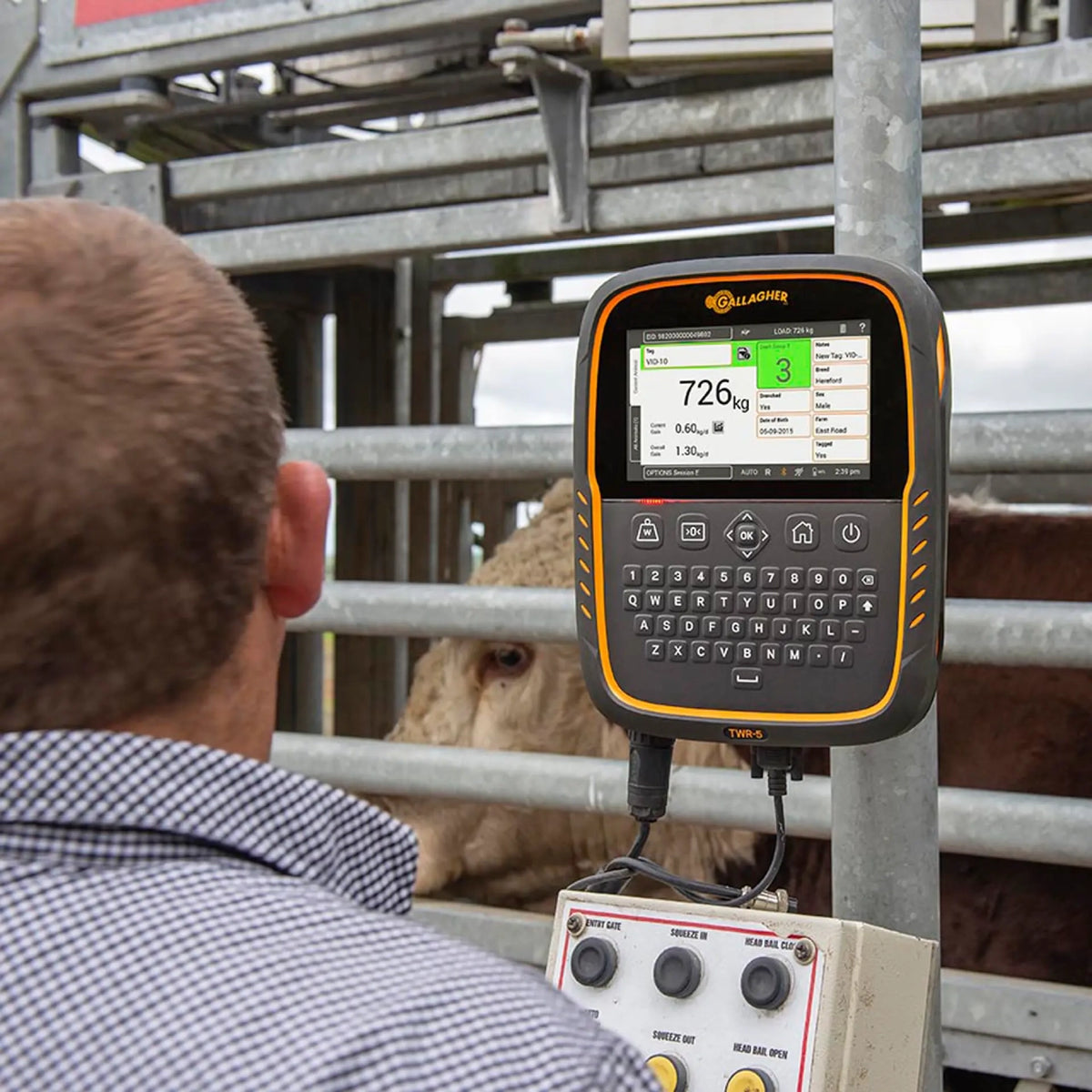 TWR-5 Weigh Scale and Data Collector with integrated EID Reader