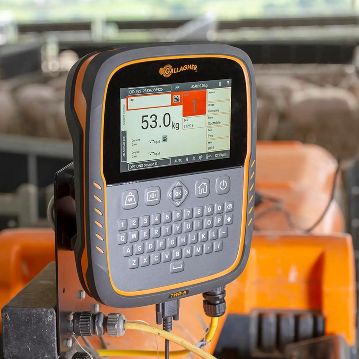 TWR-5 Weigh Scale and Data Collector with integrated EID Reader