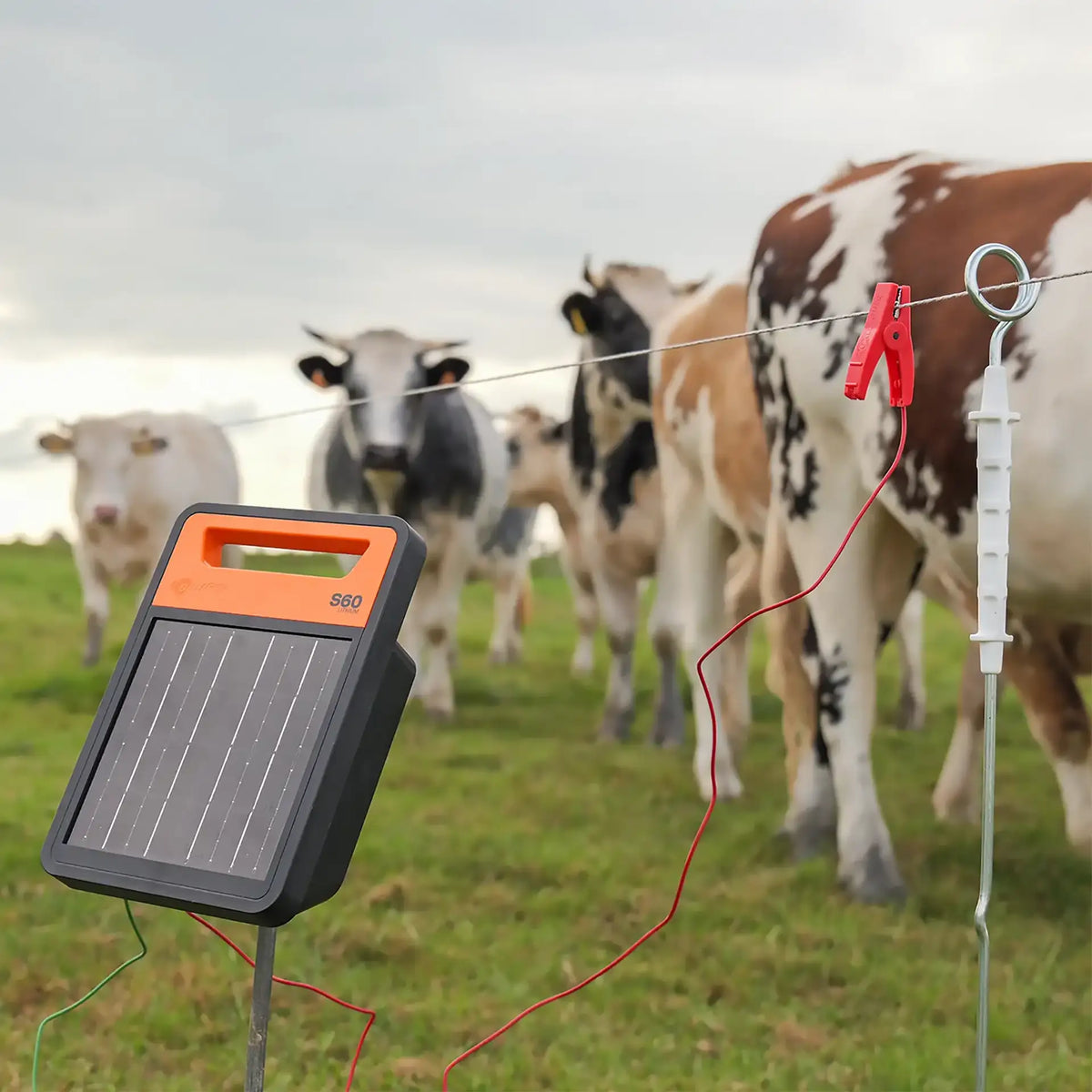 S60li Solar energiser with battery (0.6J - Solar)