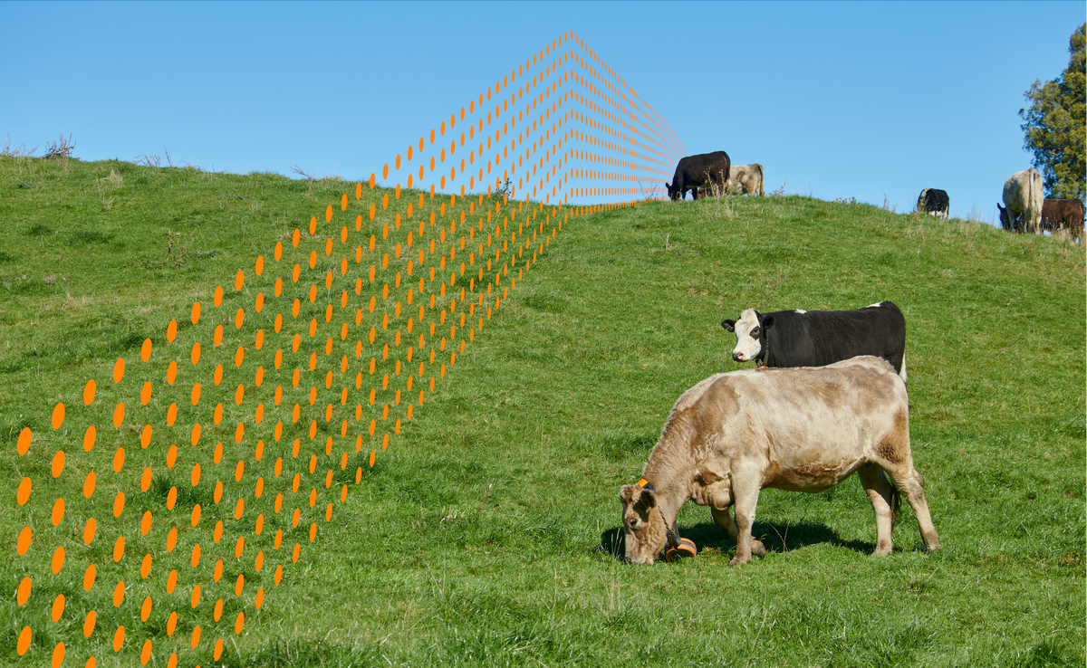 eShepherd – Gallagher Ireland